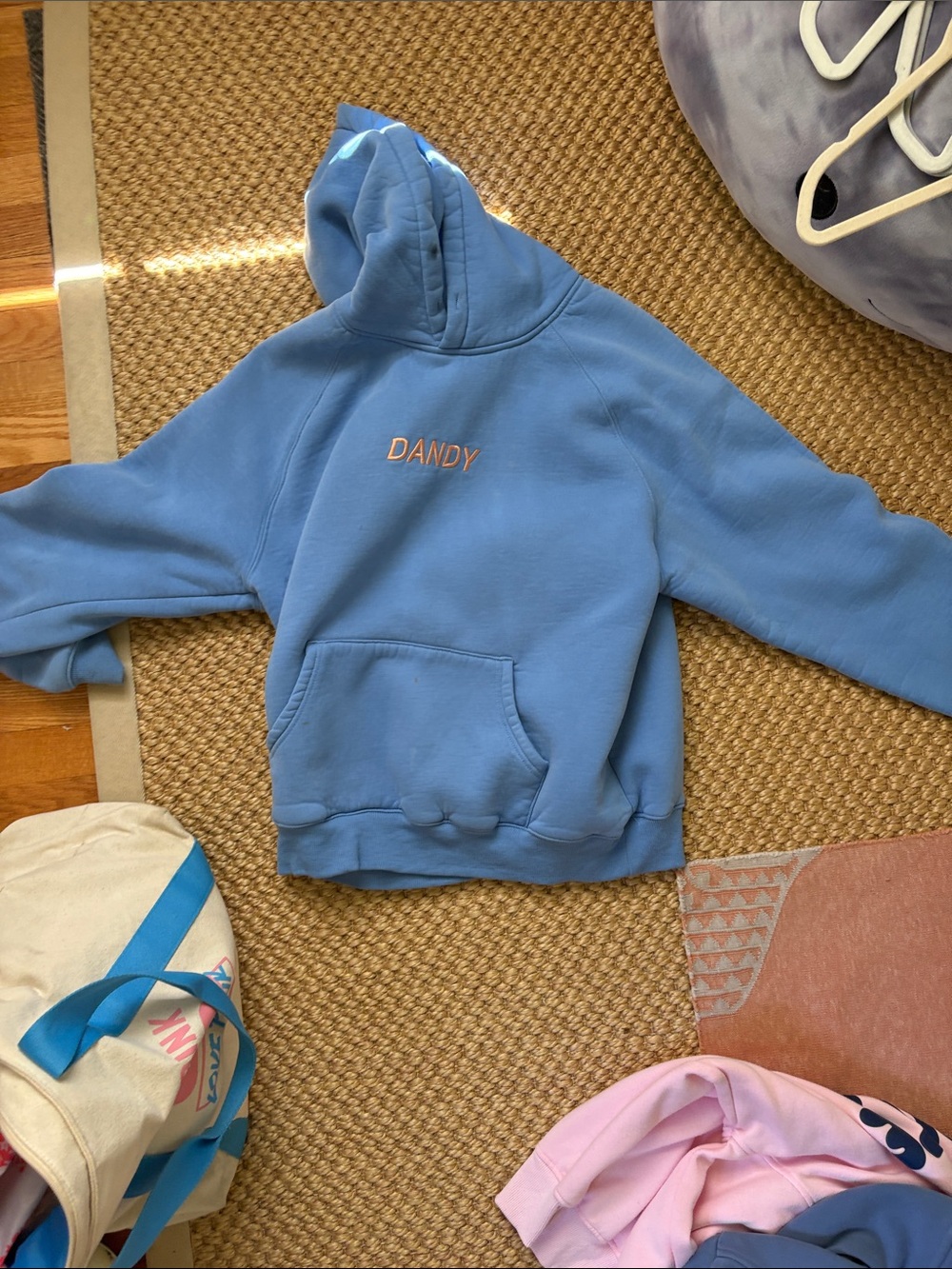 DANDY Blue Embroidered Hoodie